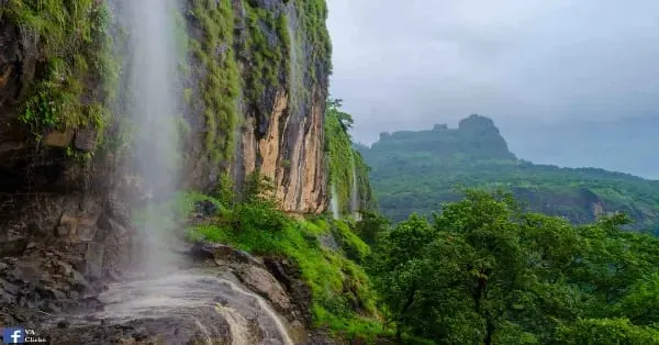 Lingmala cascading waterfall amidst Sahyadri forest