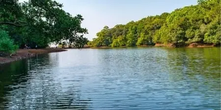 Western Ghats forest path, representing the walking last mile into Matheran from Dasturi Naka
